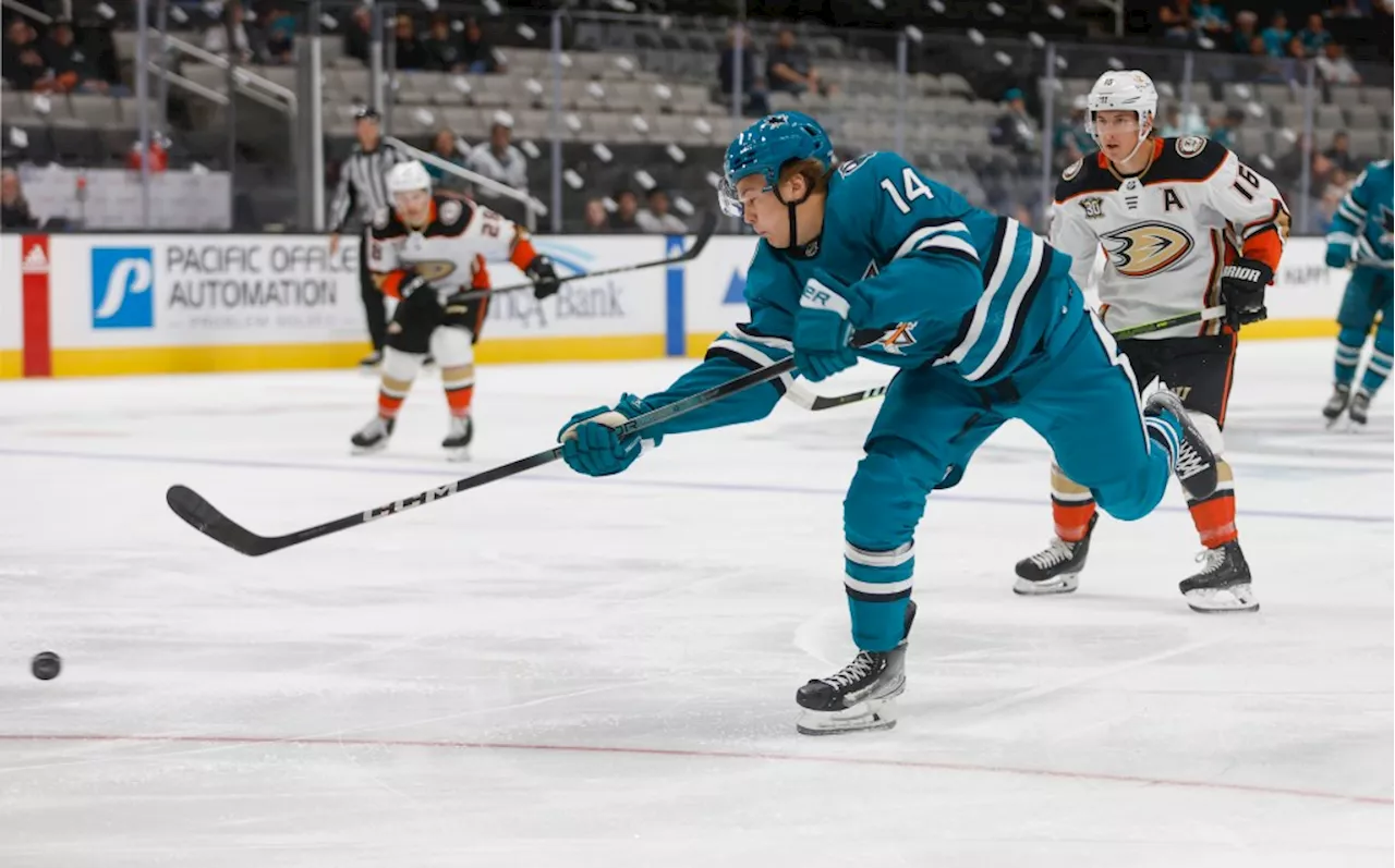 Hulking San Jose Sharks prospect sets new OHL record