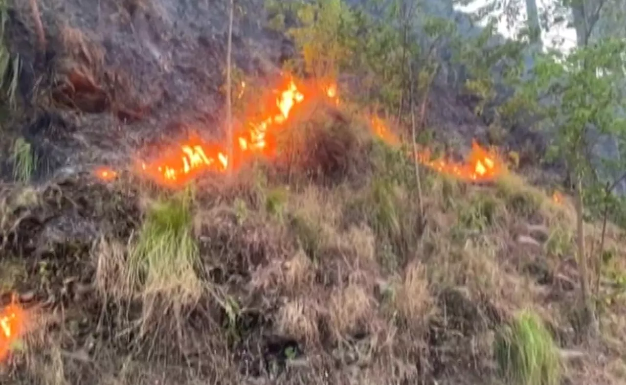 Uttarakhand Forest Fire: Black Carbon कहाँ से आता है और ग्लेशियरों के लिए क्यों है ख़तरा? |NDTV India