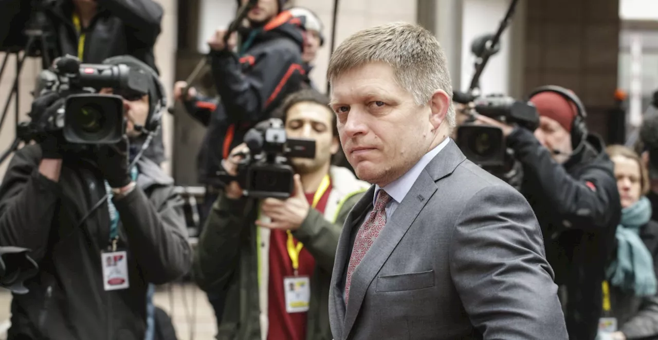 Slovak PM in 'life-threatening condition' after assassination attempt