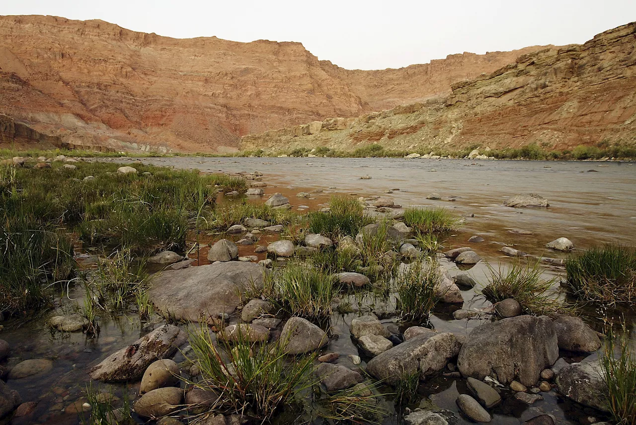 Colorado Man Thinks He Found Serial Killer After Strange Desert Discovery