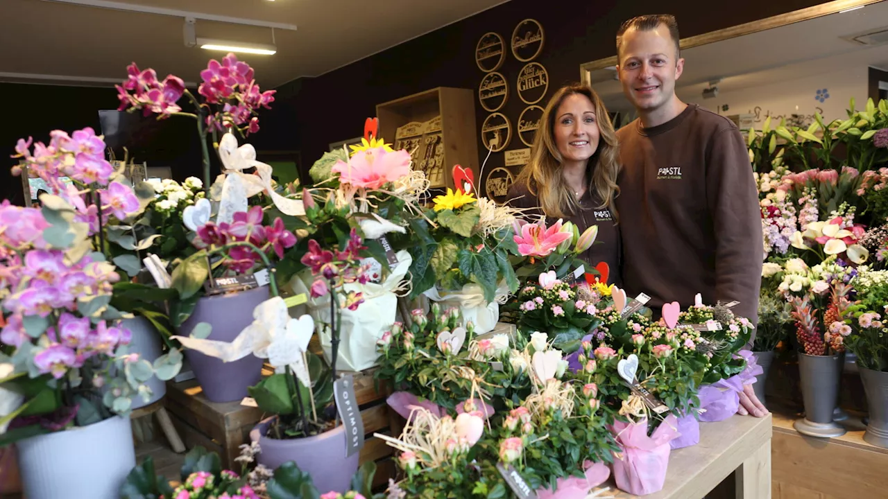 Blumenpracht im Wiener Neustädter Zehnerviertel