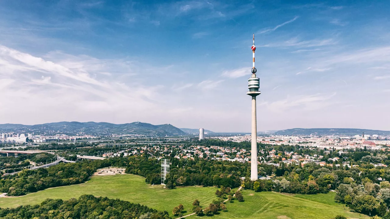 Predl läuft 100 Kilometer auf dem Donauturm