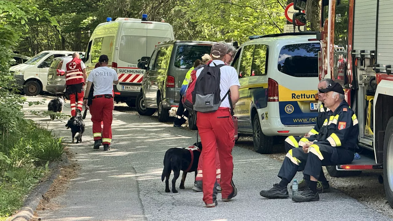 Suchaktion mit 200 Helfern in Muggendorf: Vermisster lebend gefunden!