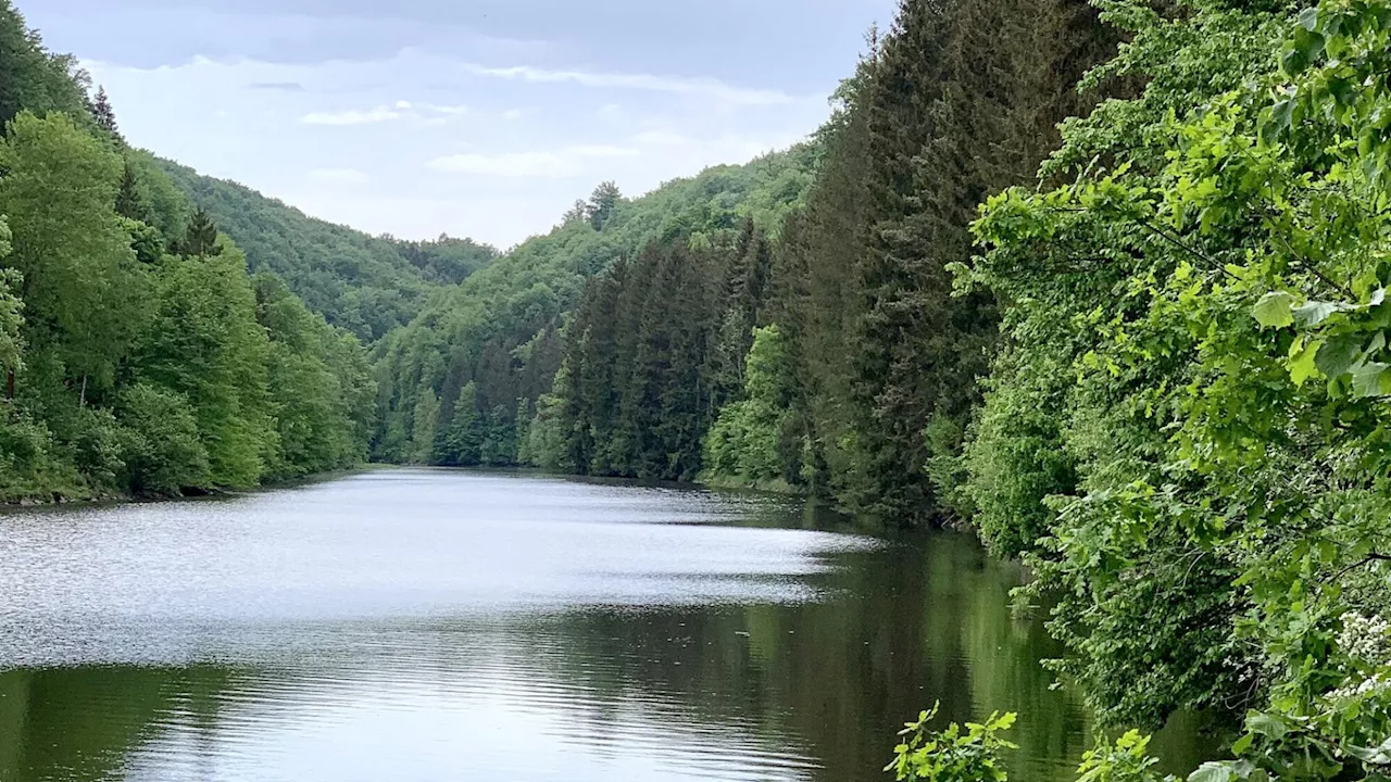 Um Gut Ottenstein soll der Nationalpark Kampwald entstehen