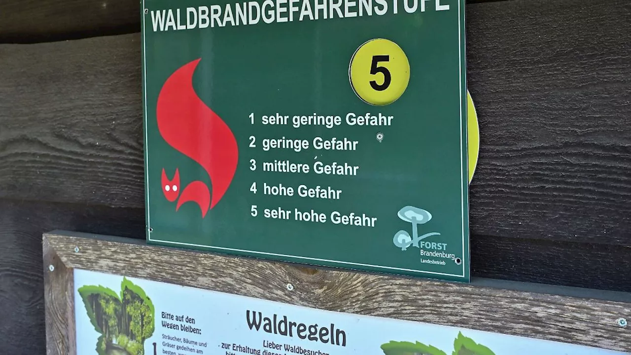 Berlin & Brandenburg: Höchste Waldbrandstufe in ganz Brandenburg