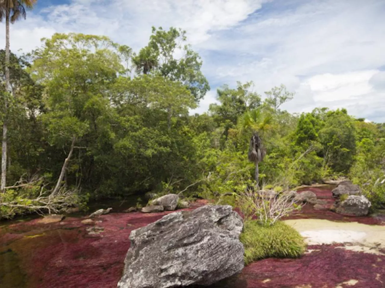 Qué tanto sabe los colombianos sobre el cuidado del medio ambiente, según estudio