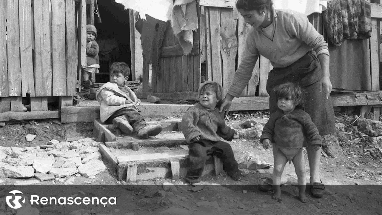 Fernando Mariano Cardeira sobre Bairro da Quinta do Narigão (Lisboa,1968).