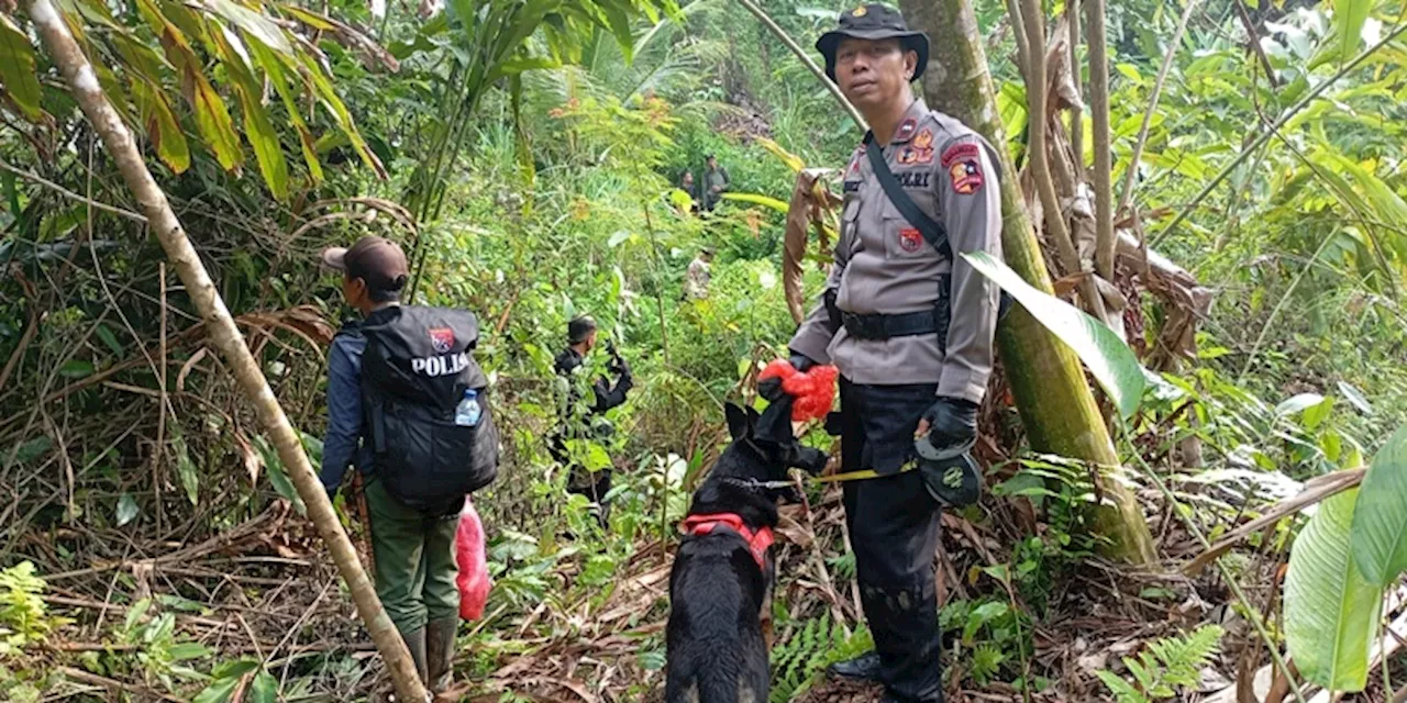 Pemburu Badak Jawa Diburu Polisi Pakai Anjing Pelacak