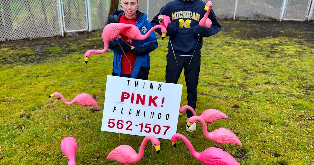 Cape Breton brothers start pink flamingo business