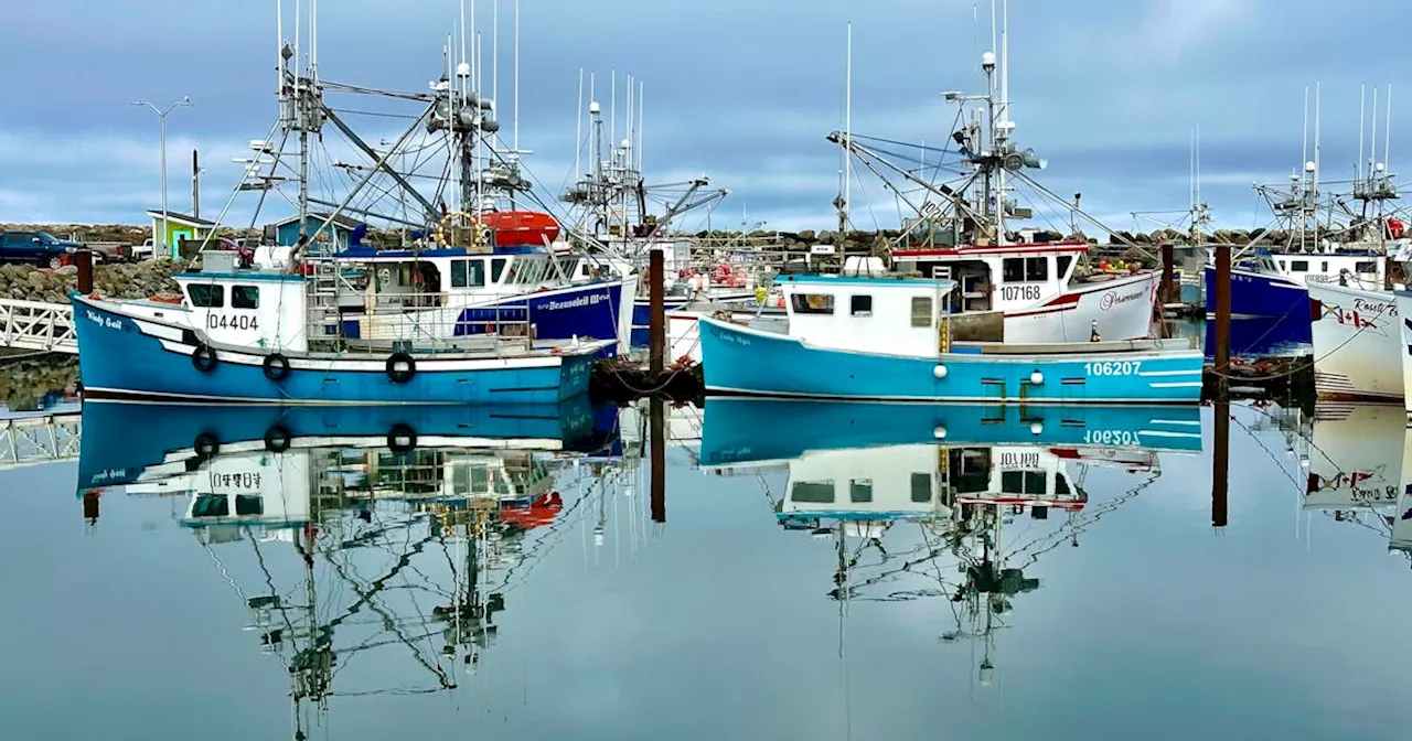 Marine protected areas won't shut down lobster fishery, says DFO spokesperson