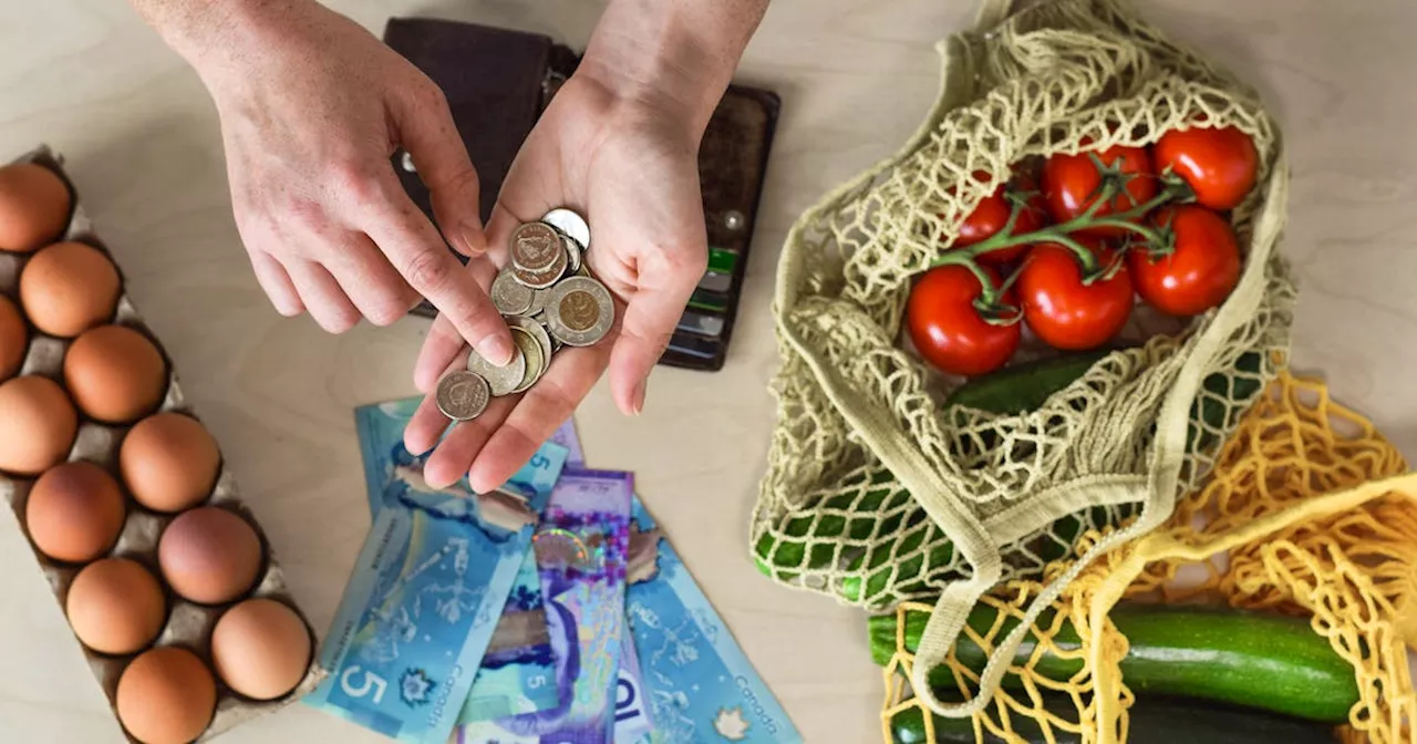 'No possible way to make ends meet': Food First NL, retail council believe recent spike in theft, organized crime stems from current economic climate