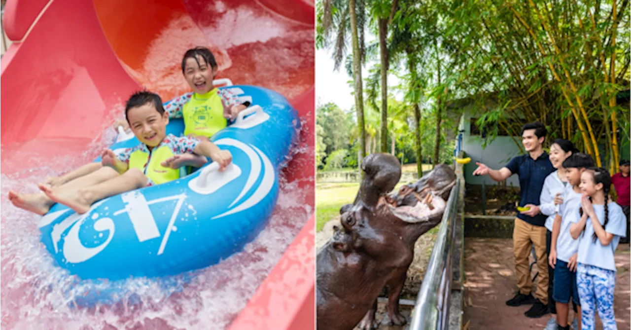 Attention, Parents! GL Play Is Offering Free Entry To Their Attractions For Kids