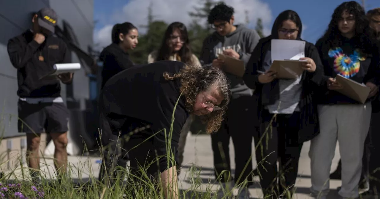 Community colleges offer clean energy training as climate-related jobs expand across America