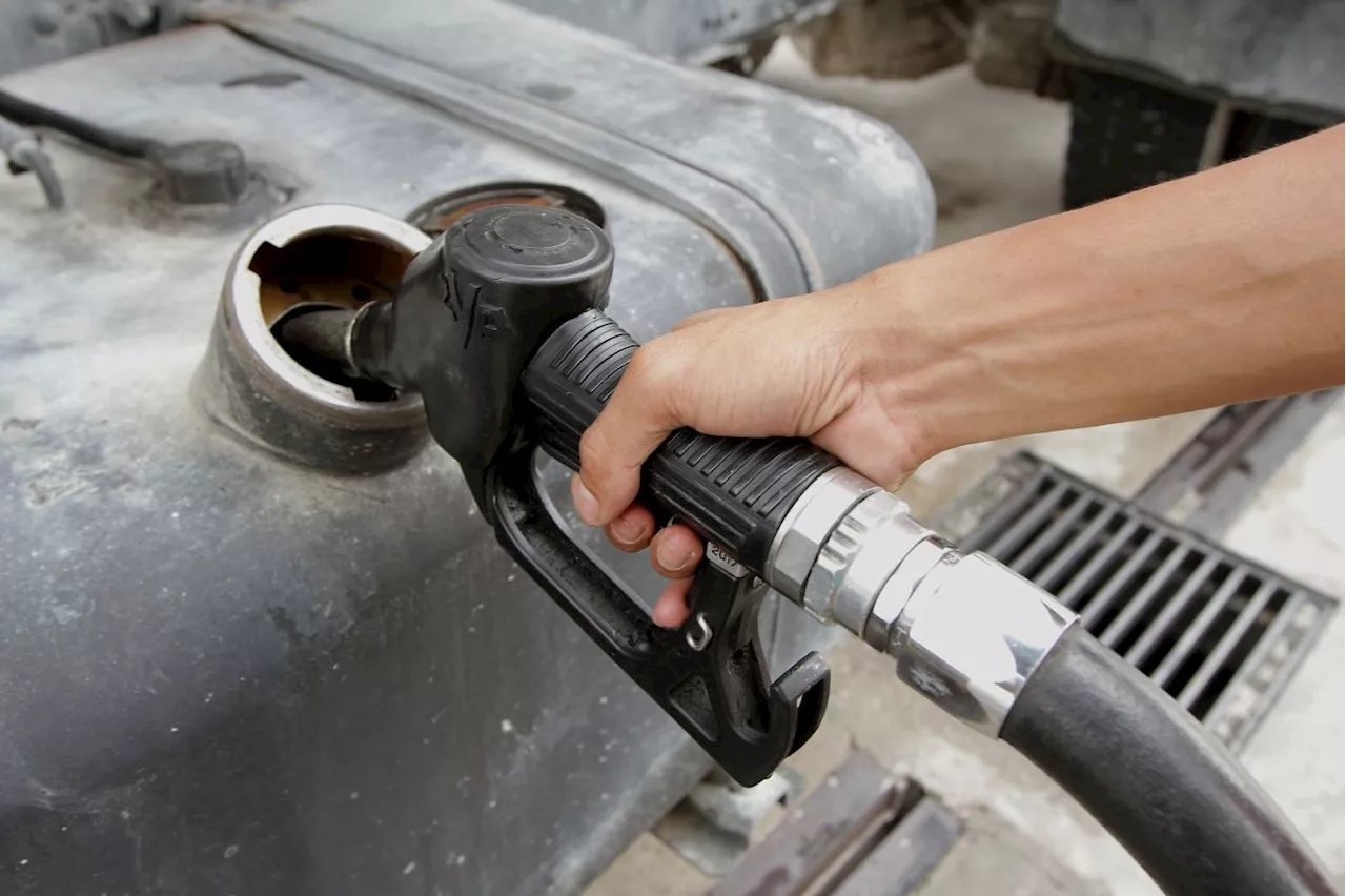 Diesel subsidy rationalisation timeline on hold to avoid speculative inflation