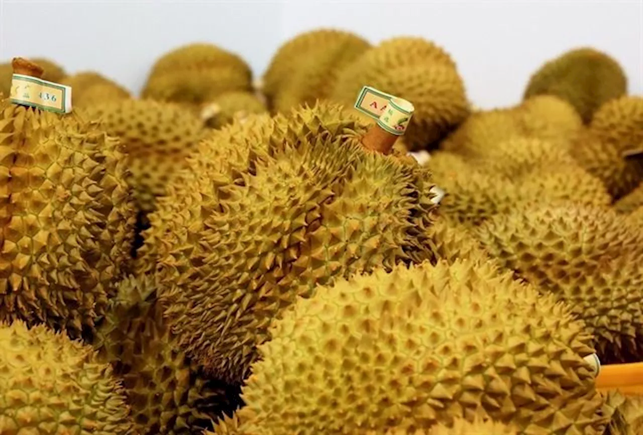 Johor is country's main durian producer, says exco member