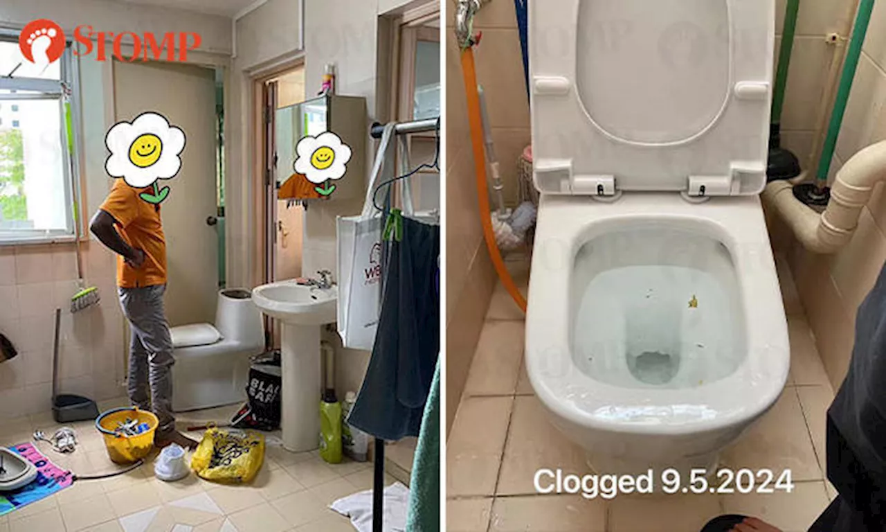 Plumbing company fails to unclog toilet and allegedly turns 'thuggish' after customer asks for help