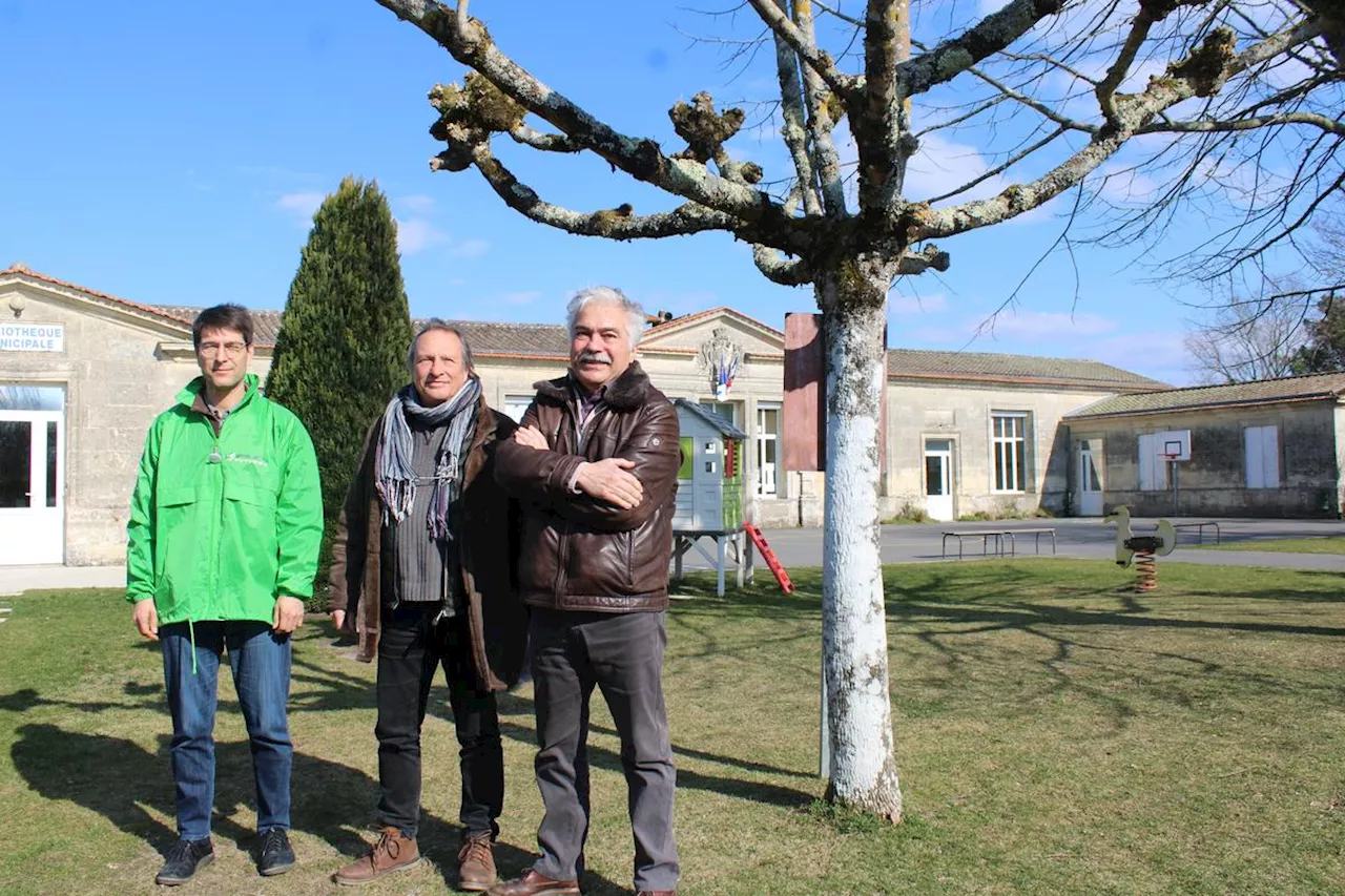 Haute Gironde : à Gauriac, la commune arrache les vignes pour faire de l’agroforesterie