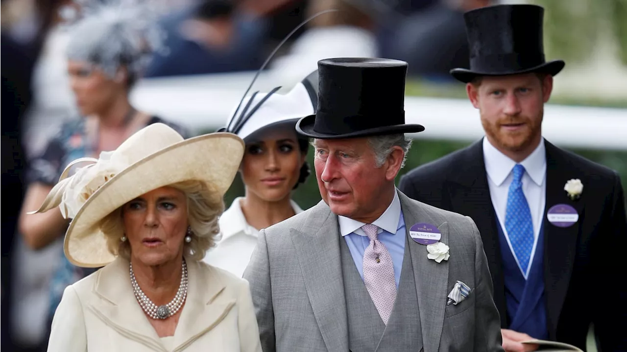 Prince William ‘Preventing’ Harry/Charles Reunion, Queen Camilla’s Friend Says