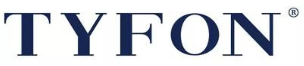 Tyfon, a Leading Art Marketplace, to Become a Public Company Through Business Combination with Global Technology Acquisition Corp. I