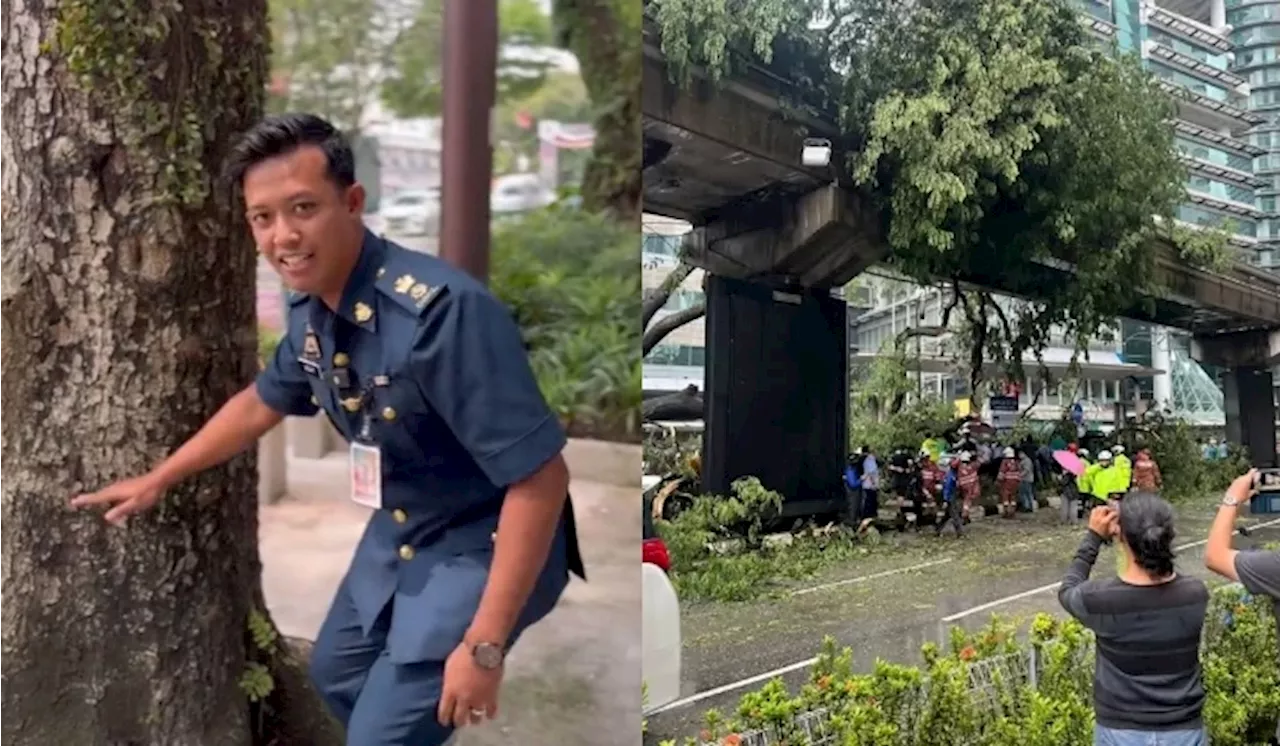 [Video] DBKL Jelaskan Mengapa Bukan Semua Pokok Di KL Adalah Tanggungjawab Mereka