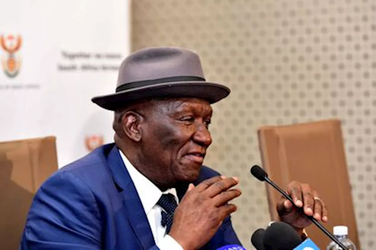 Cele: More resources for Ditebogo Phalane Jr’s murder probe