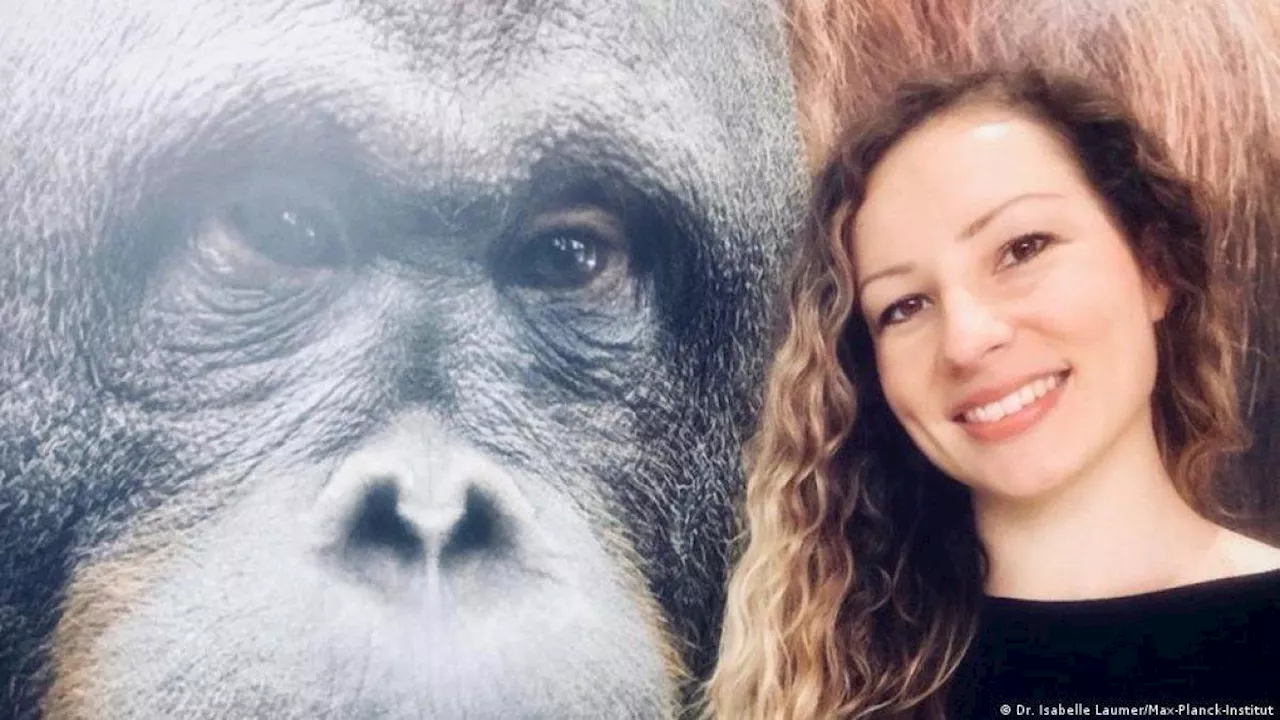 Perempuan Jerman ini Meneliti Orang Utan Sumatra yang Jadi 'Dokter' Buat Diri Sendiri