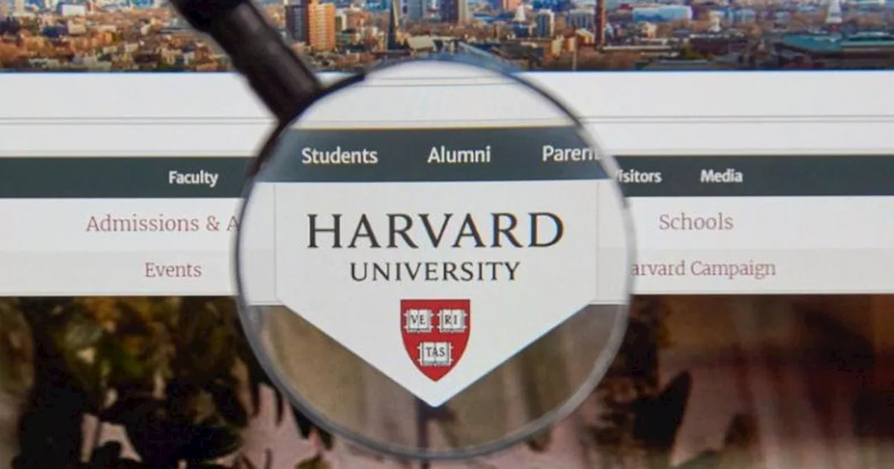 Harvard ofrece un curso gratuito: así puede acceder