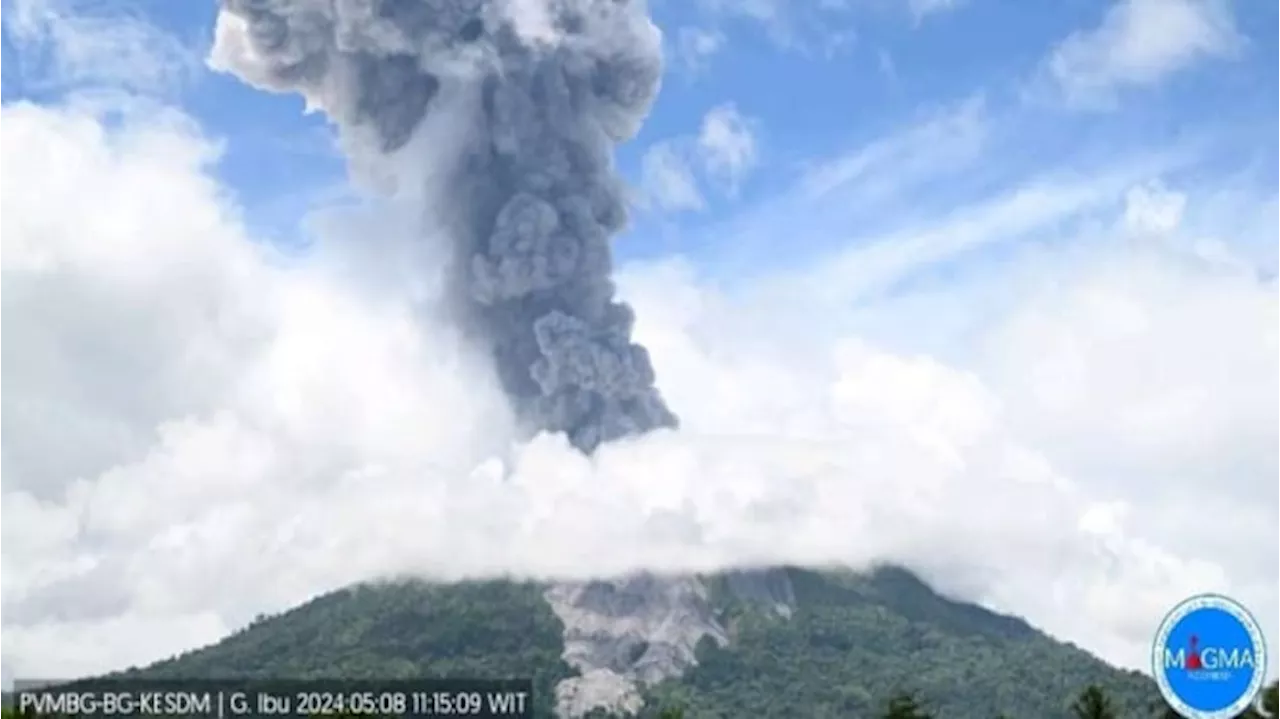 Gunung Ibu Erupsi Kembali, Semburkan Abu Vulkanik 5.000 Meter!