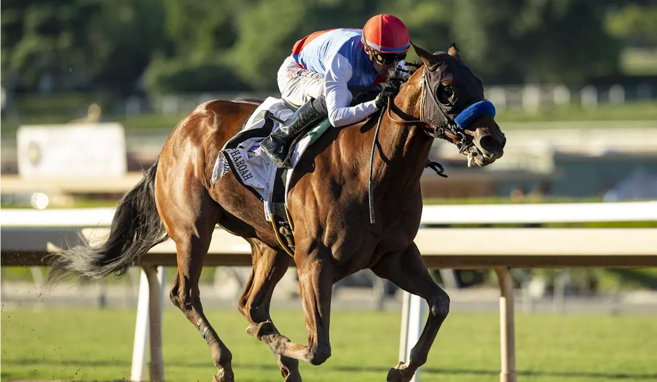 Preakness Stakes favorite Muth ruled out of second leg of Triple Crown after spiking a fever