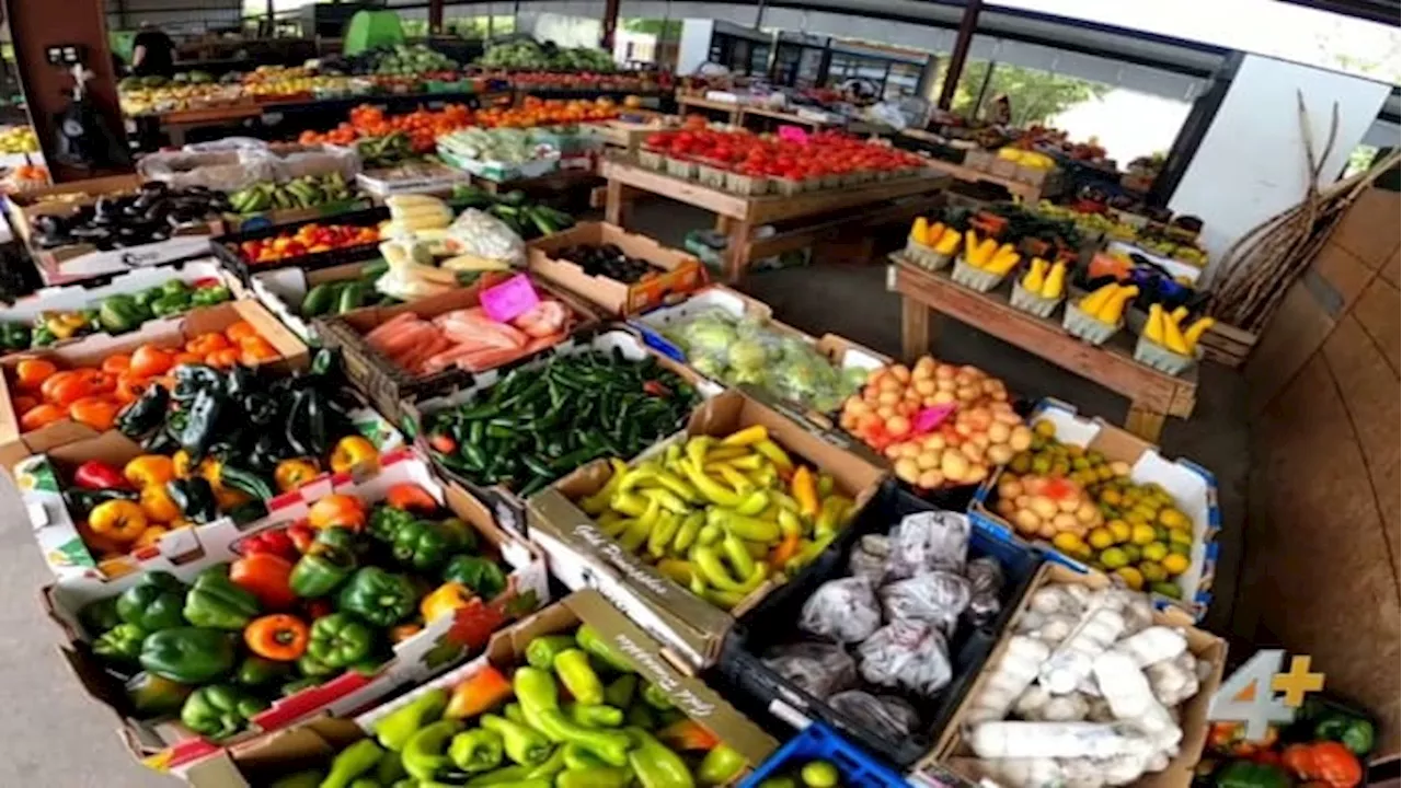 First Coast Gems: The oldest farmers market in Florida is located right here in Jacksonville