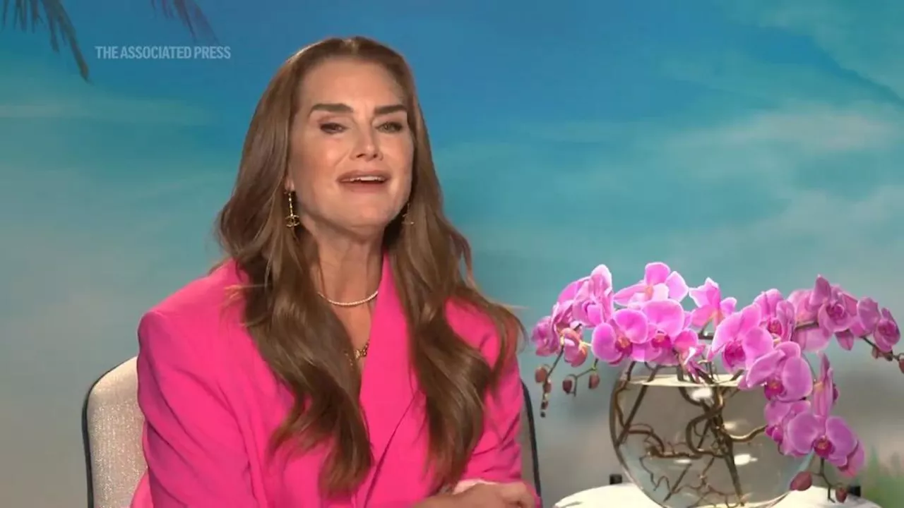 Brooke Shields flexes her comedy skills in 'Mother of the Bride'