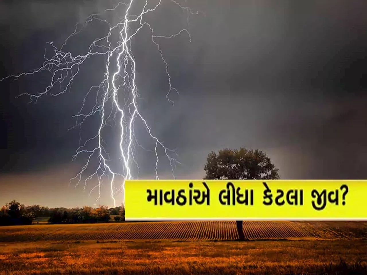 ગુજરાતમાં બરબાદીનો વરસાદ, રાણસીકીમાં સૌથી વધુ, જાણો વીજળી પડવાથી ક્યા કેટલા મોત?