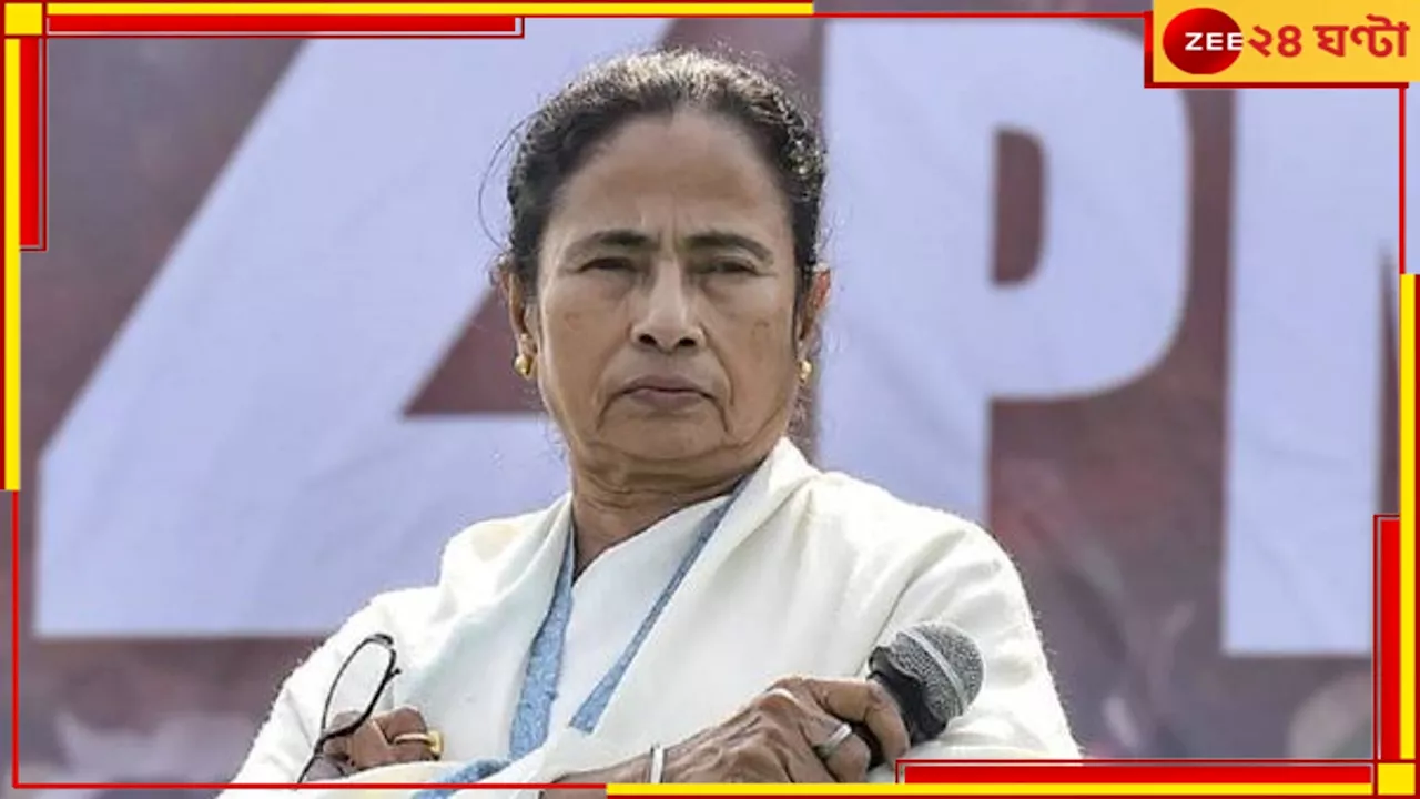 Mamata Banerjee: মমতা নামটা আমার নিজেরই পছন্দের নয়, আর বিজেপি চুরি করছে!