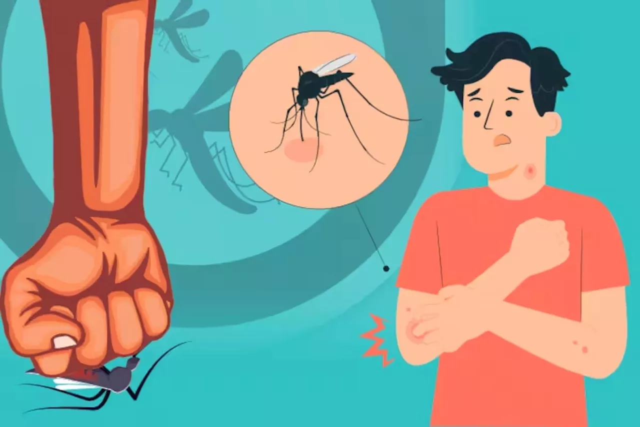 National Dengue Day 2024 : ಮಾರಕ ಡೆಂಗ್ಯೂ ನಿಯಂತ್ರಣಕ್ಕೆ ಇಲ್ಲಿವೆ ಸರಳ ಉಪಾಯಗಳು..!