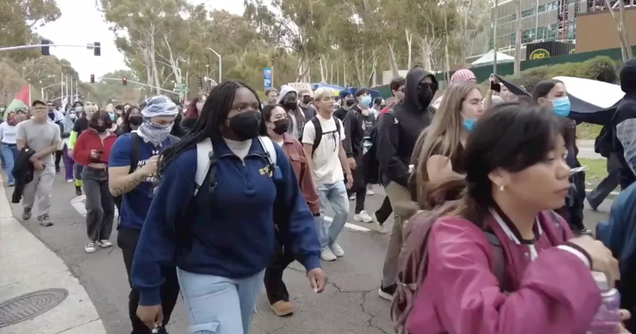 UCSD Palestine groups protest during Peace in Israel week