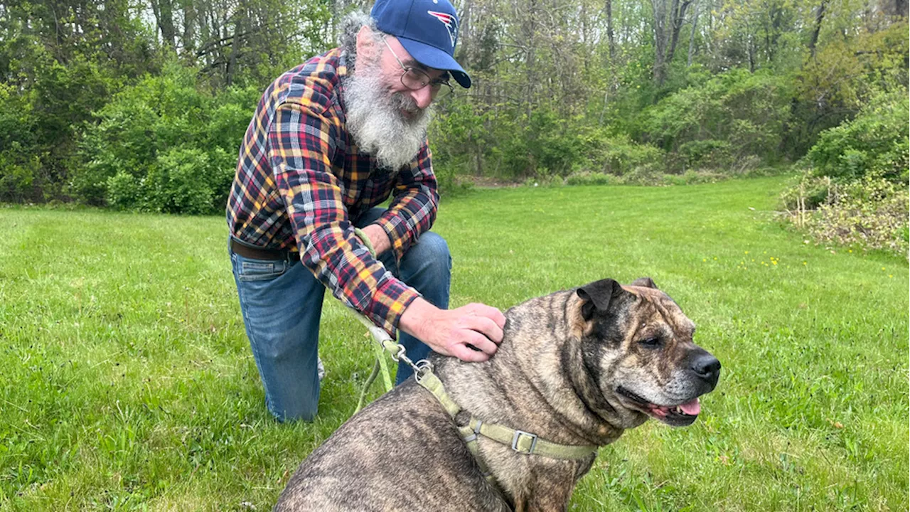 Massachusetts man's dying wish is to find new home for his best friend