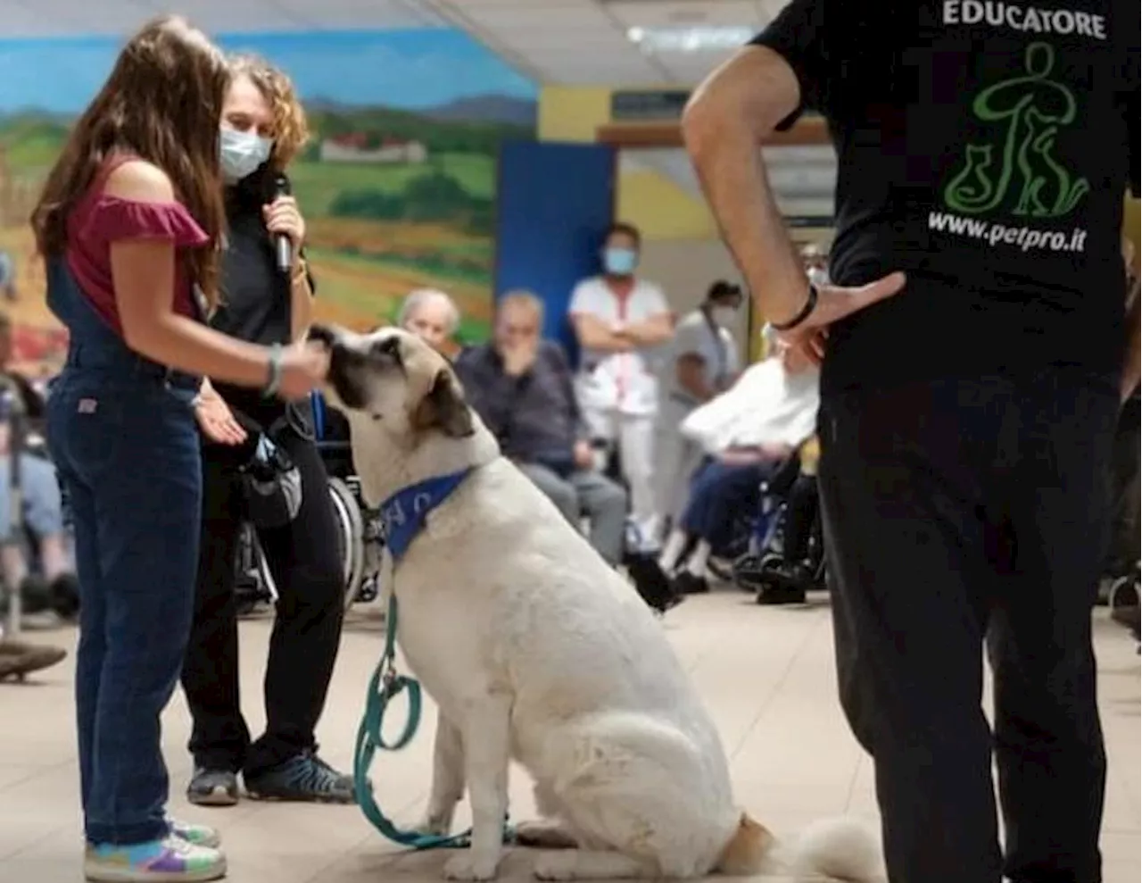 Non solo Pet Teherapy, gli amici a 4 zampe entrano nelle Rsa