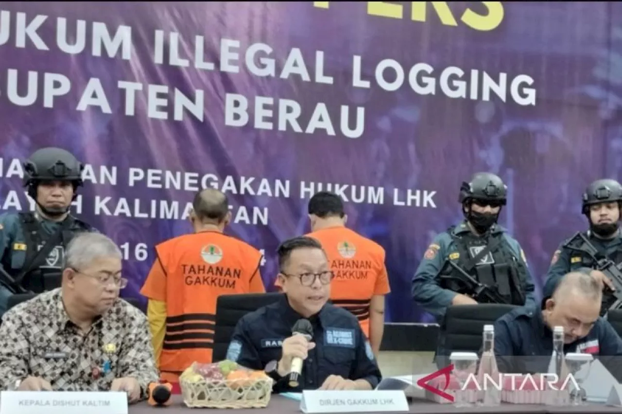 Gakkum KLHK ungkap illegal logging antar Provinsi