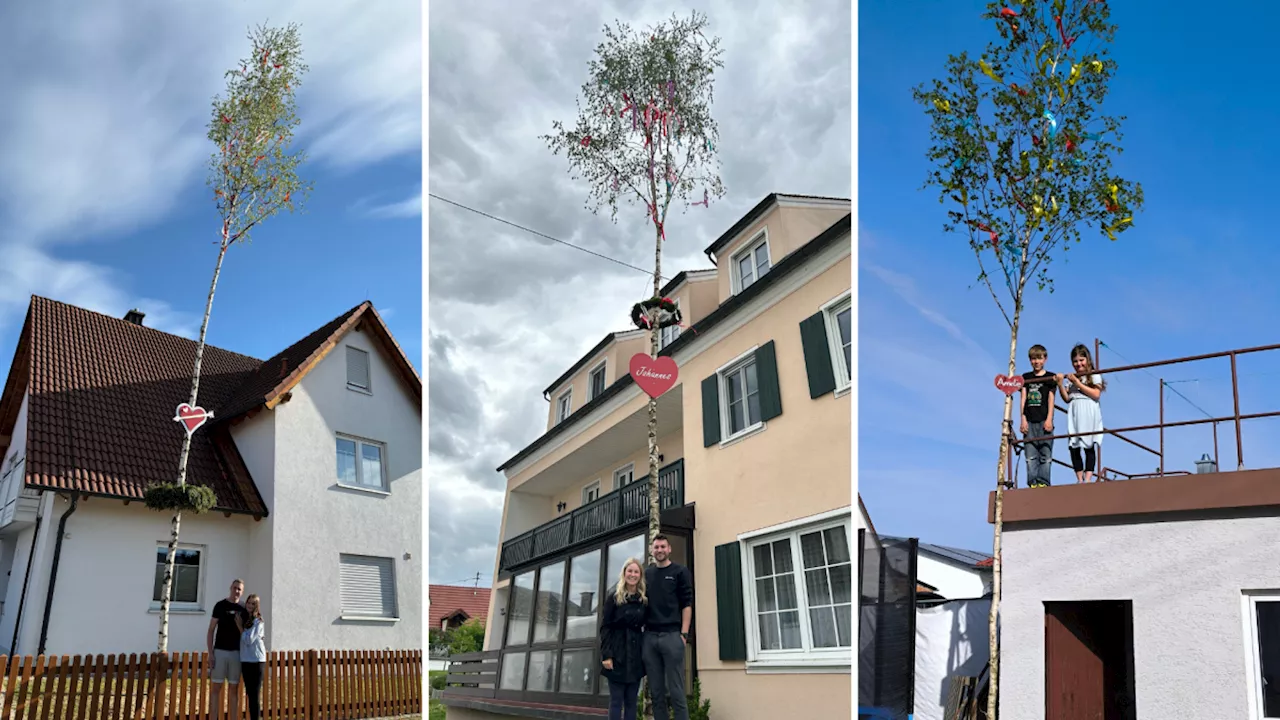 Der Maibaum-Wettbewerb ist vorbei: Das sind die Gewinner im Kreis Dillingen