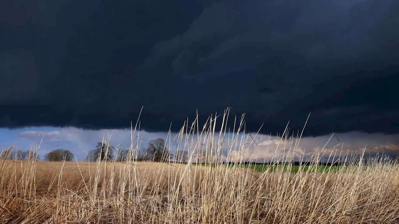 Warnung vor heftigem Regen: Wo drohen heute Gewitter in Bayern?