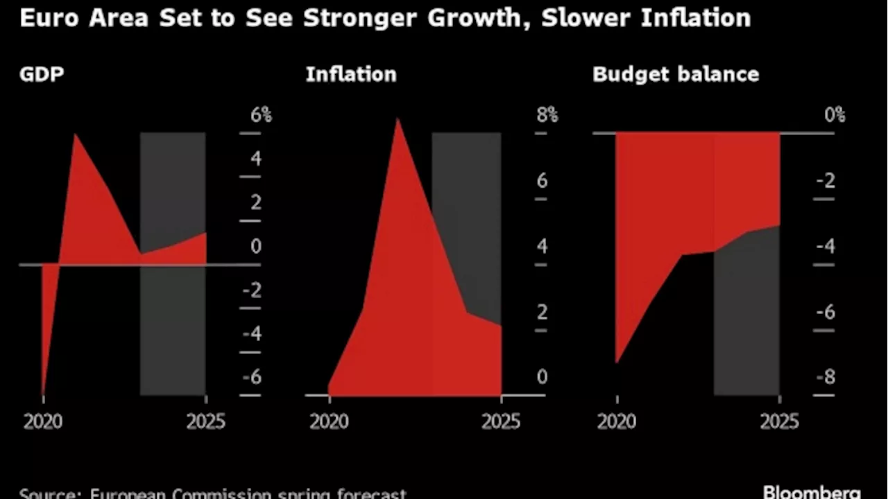 ECB Warns of Stability Risks From Global Elections, Geopolitics