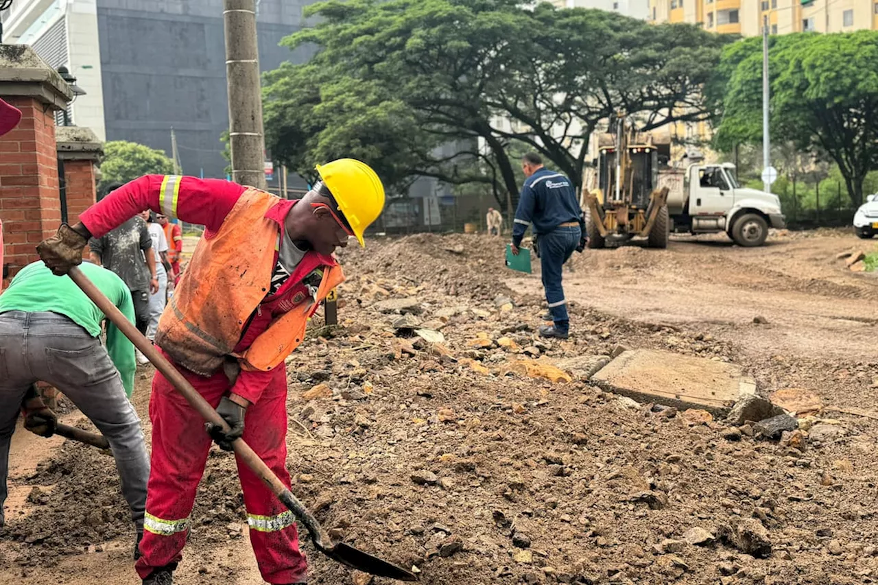 Al menos 100 viviendas fueron afectadas por las lluvias de las últimas horas en Cali