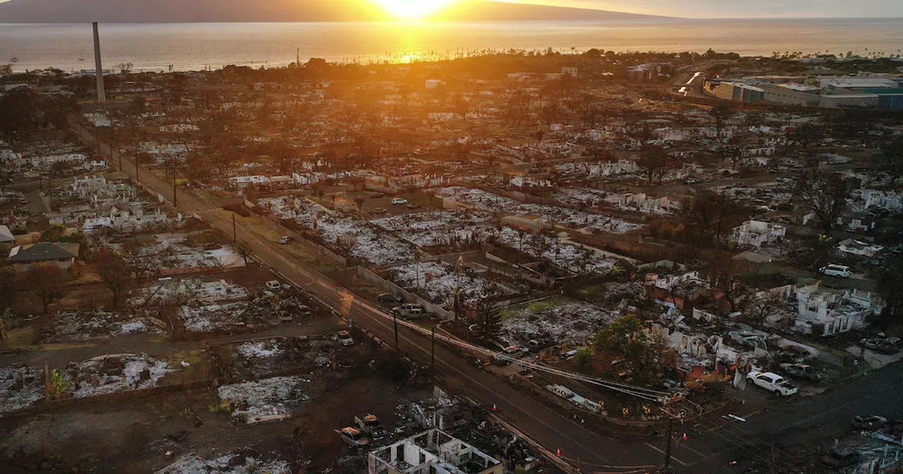 They survived Maui's deadly wildfires. Now many are suffering from food insecurity and deteriorating health.