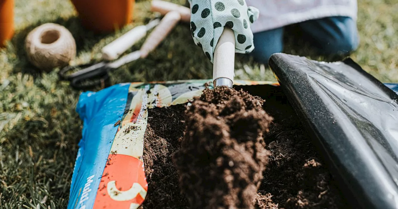 Gardener's compost bag hack that is perfect for planting new flowers and more