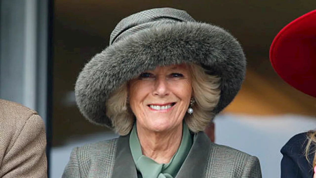 Queen Camilla pledges not to buy any more fur in latest Palace move away from animal products -...