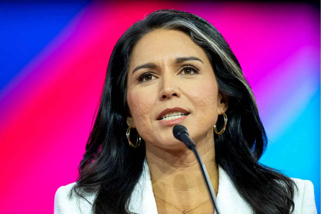 Tulsi Gabbard argues Democrats are ‘trying to be God’ in attempt to control truth