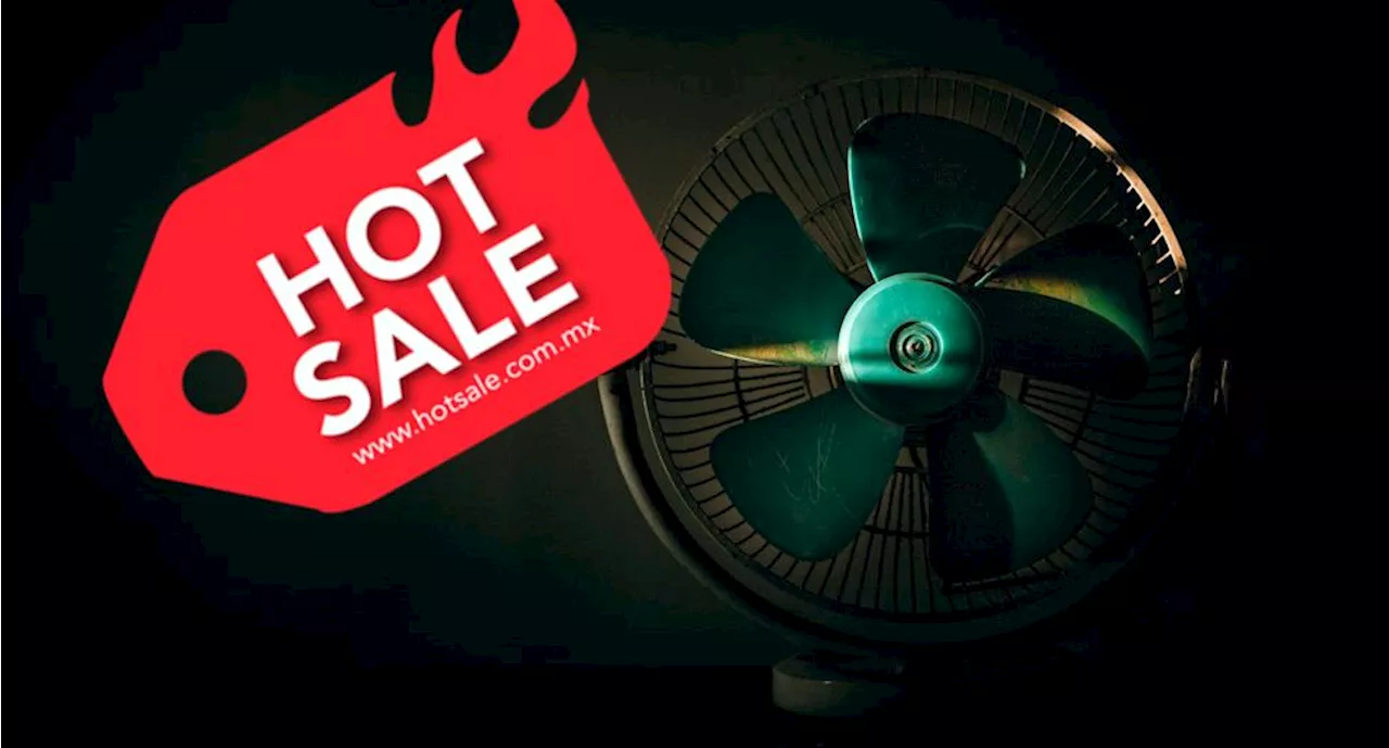 Hot Sale 2024: Ventiladores, entre lo más buscado; reportan buen arranque de compras