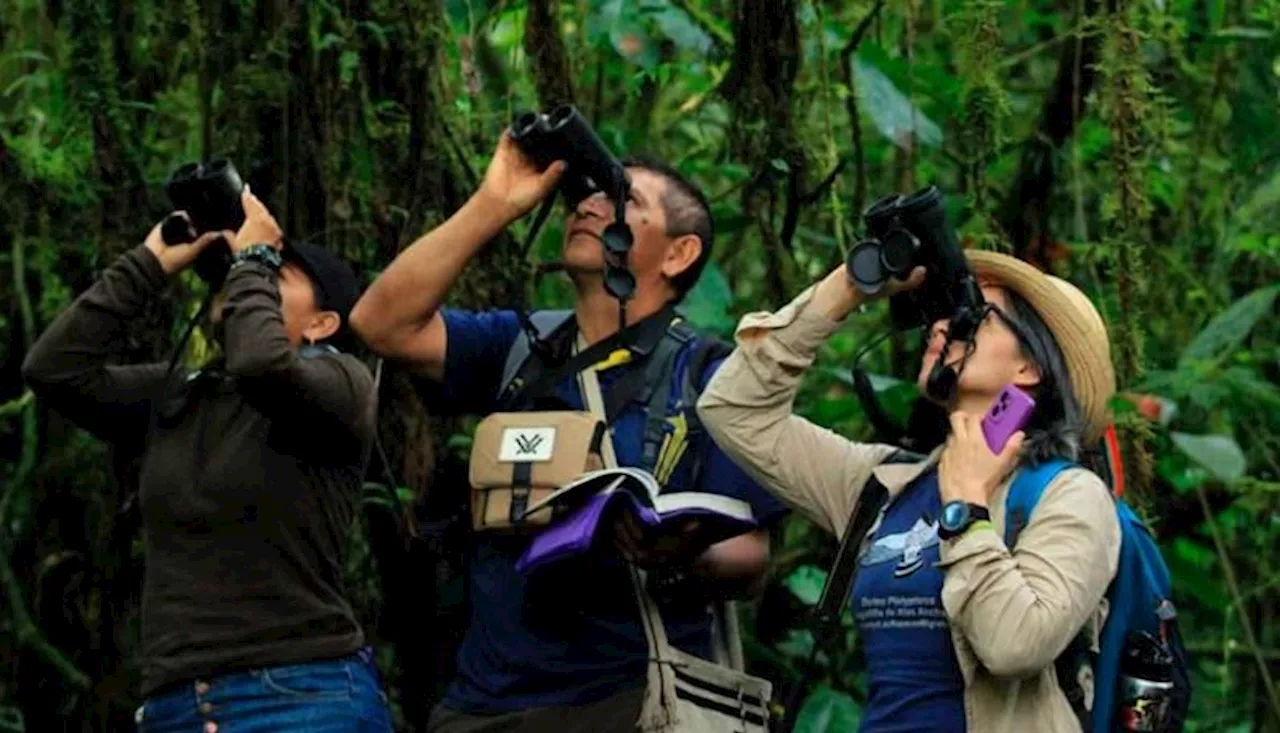 Colombia vuelve a ganar: es el mejor país para avistar aves