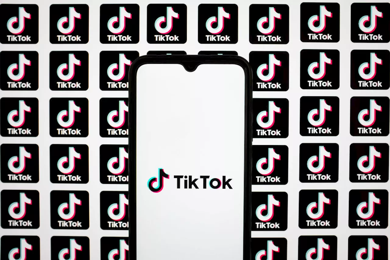 The Morning After: In a bid to stop ban, TikTok creators are suing the US government