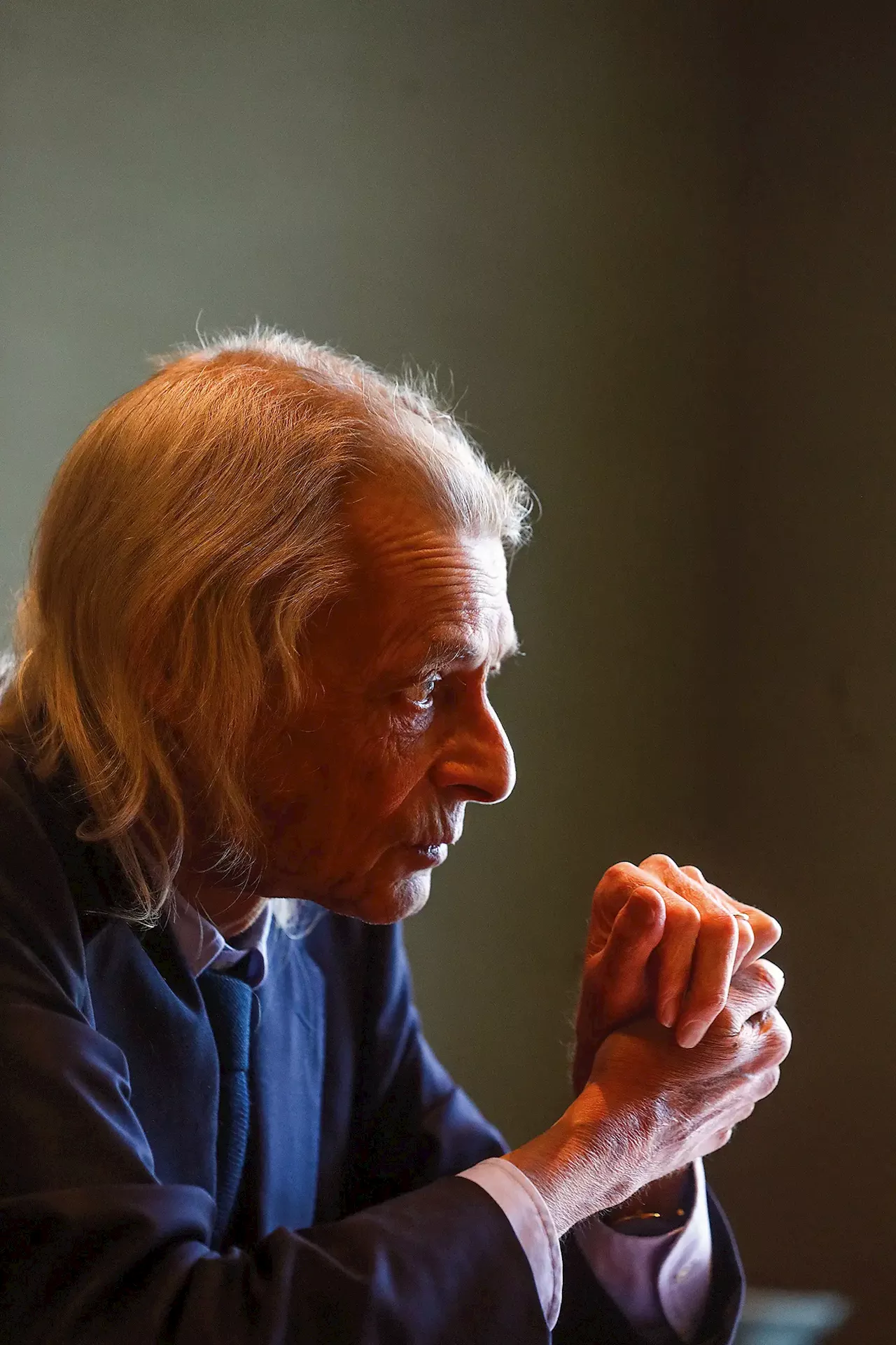 João Manso Neto: “Destruir uma floresta para pôr painéis solares não é fantástico”